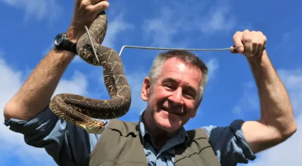 Chasseur de serpents