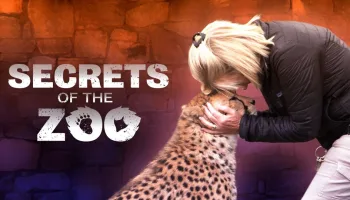 Secrets of the Zoo