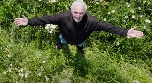 Een jaar in vogelvlucht
