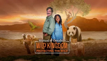 Mutual of Omaha's Wild Kingdom Protecting the Wild