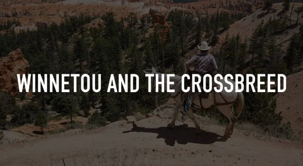Winnetou and the Crossbreed