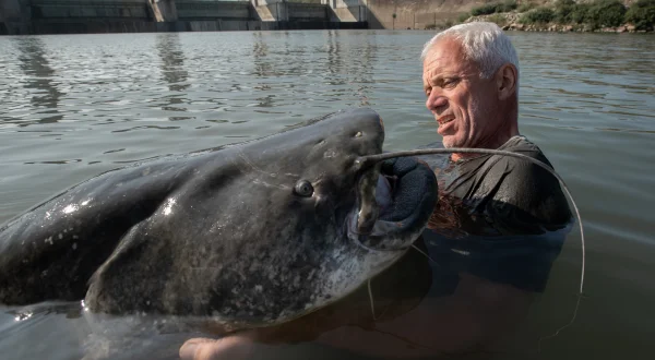 Italy's Lake Monster