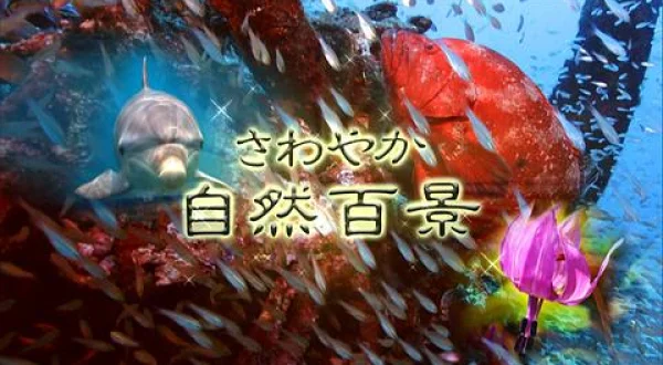 さわやか自然百景：北アルプス 西穂高岳(日)