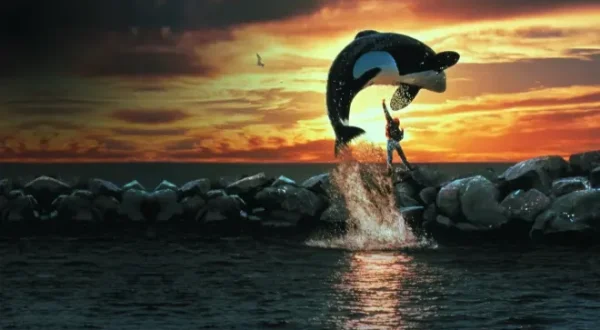 Free Willy - Ruf der Freiheit