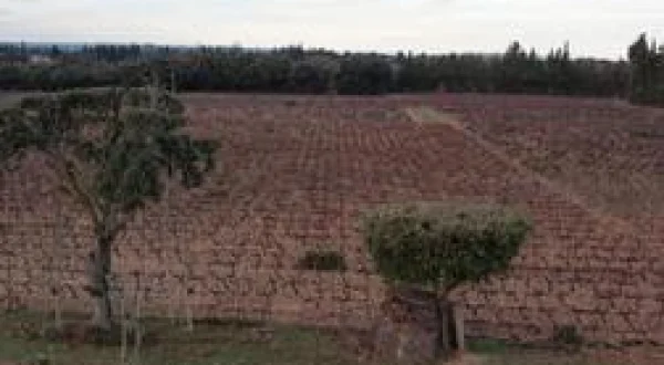 La chasse dans l'appeau