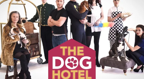 The Dog Hotel