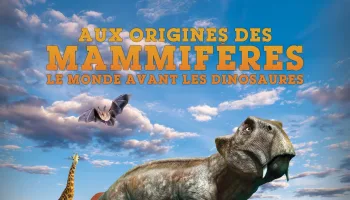 Aux origines des mammifères, le monde avant les dinosaures