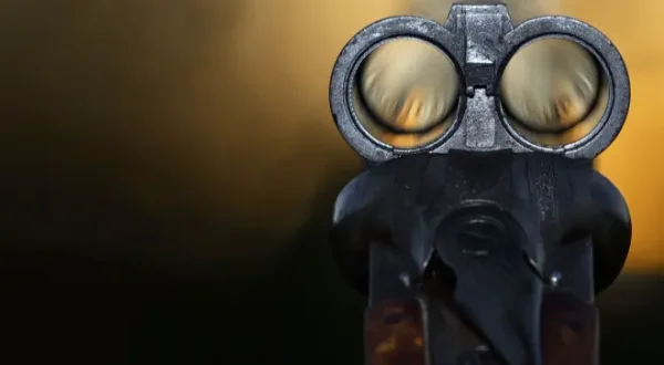 Tous fous du calibre 20