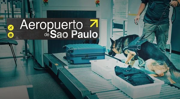 Aeropuerto de São Paulo