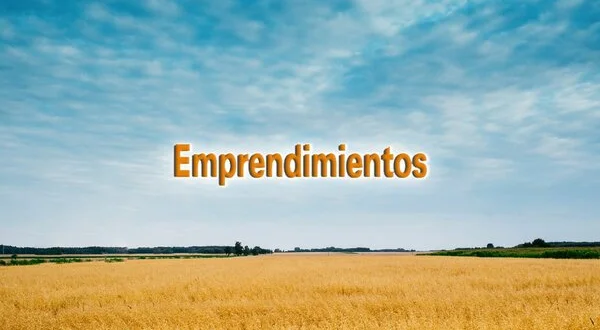 Emprendimientos