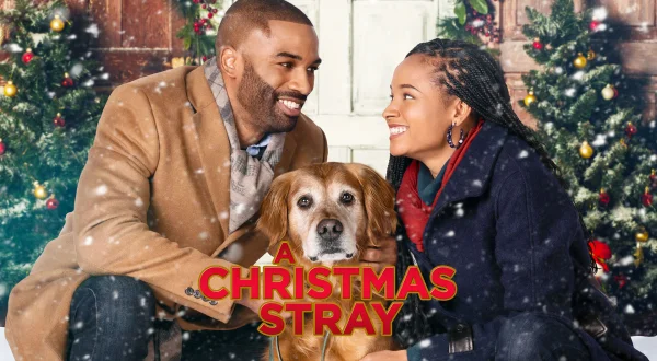 A Christmas Stray