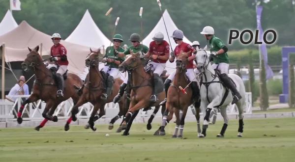 Polo