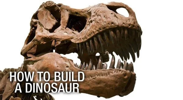 How to Build a Dinosaur