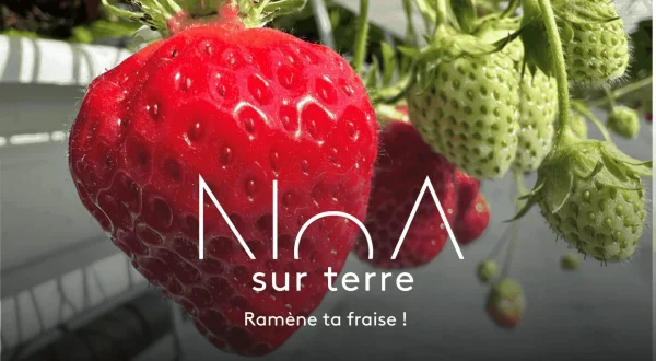 NoA sur terre