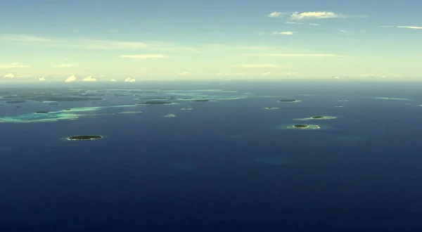 Čuda oceana