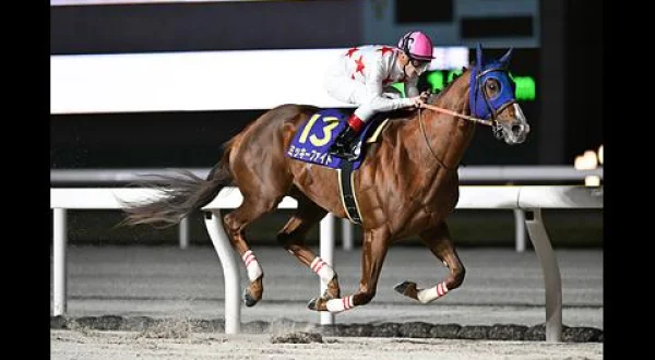 ホッカイドウ競馬実況中継 北海道2歳スプリント JBC2歳優駿 JpnⅢ