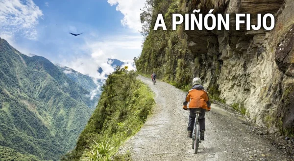 A piñón fijo