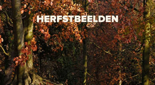 Live: Herfstbeelden