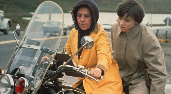 Harold und Maude