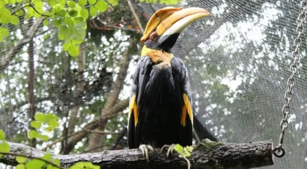 Secrets of the Zoo: Tampa