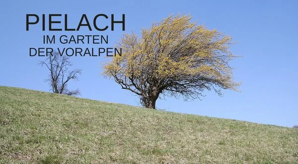 Pielach - Im Garten der Voralpen
