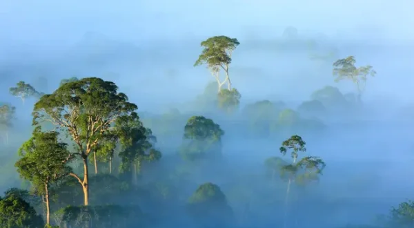 Splendeurs de la vie sauvage
