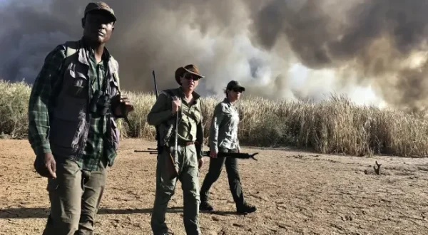 Sénégal terre d'hivernage