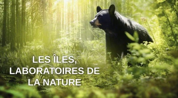 Les îles, laboratoires de la nature