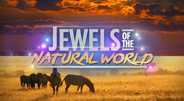 Jewels of the Natural World