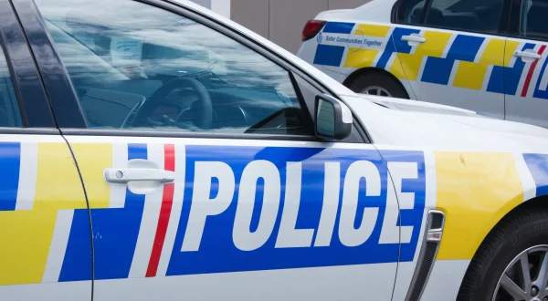 Police Interceptors: Pursuit & Capture