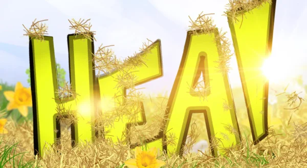 Hea!
