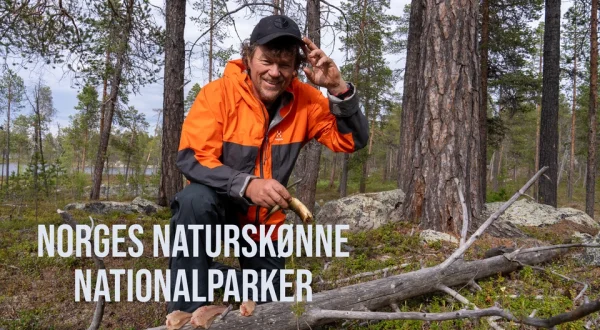Norges naturskønne nationalparker