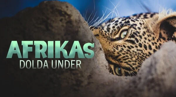 Afrikas dolda under