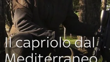 Il capriolo dal Mediterraneo al Mare...