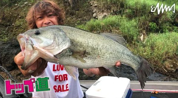 トップ道 58 梅雨ノ晴レ間ノ高知県大渡ダム
