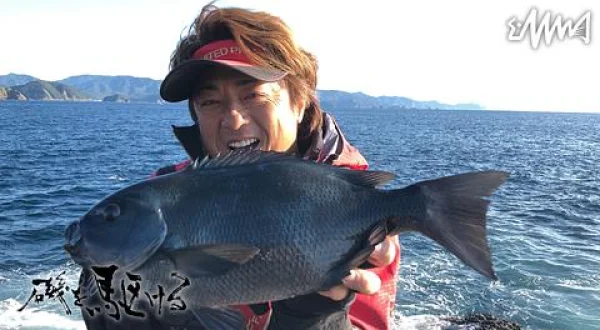 磯を駆ける 97 三重県 紀北町の旅