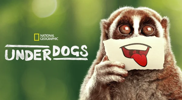 Underdogs