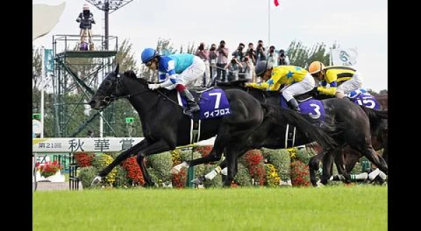 栄光の名馬たち（ヴィブロス）