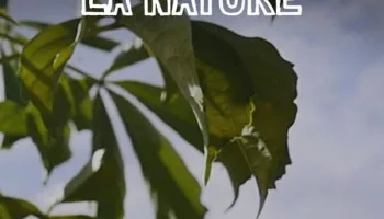 Réparer la nature
