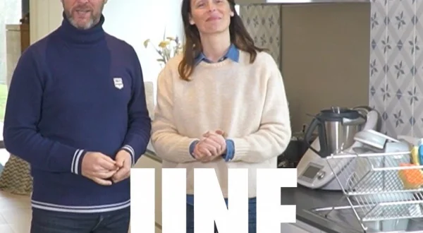 Une brique dans le ventre