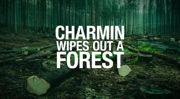 Charmin Wipes Out a Forest
