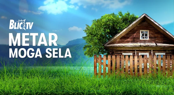 Metar moga sela