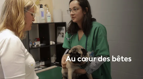 Au coeur des bêtes