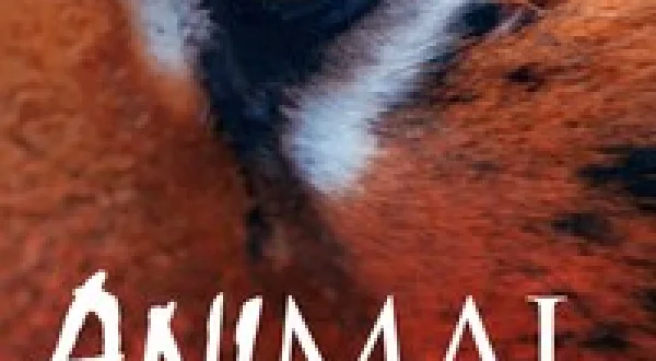 Animal Senses