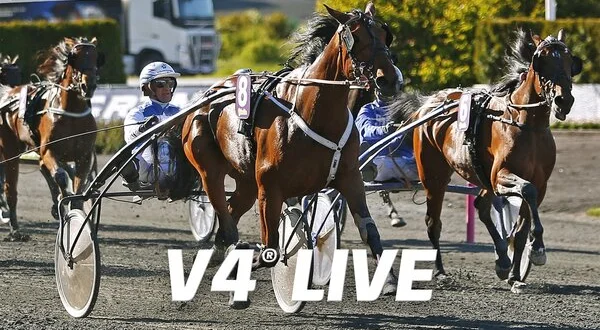 V4 Live