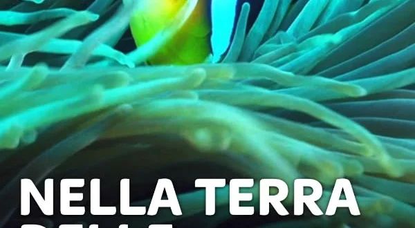 Nella terra delle creature selvagge