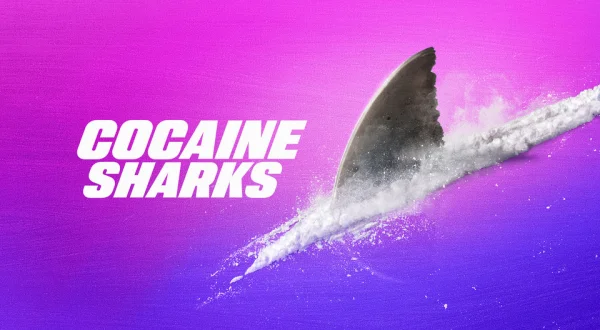 Cocaine Sharks
