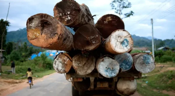 Crimes contre la nature