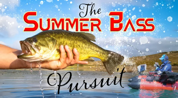 The summer bass pursuit hd