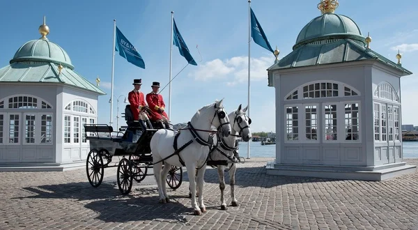 Royale heste